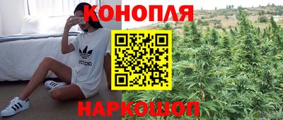a pvp Жуковский