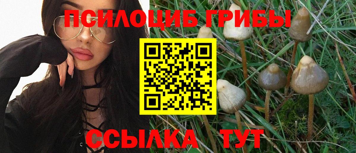 Галлюциногенные грибы ЛСД  Вход с VPN  Карабулак 
